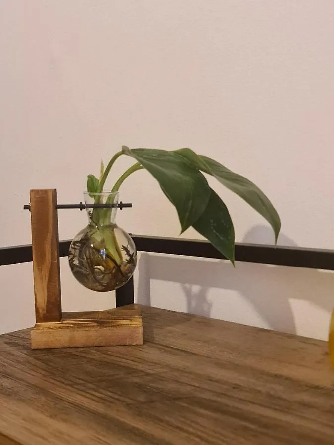 I Salotti Del Principe Apartment Palermo